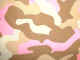 pinkcamo.jpg (22638 octets)